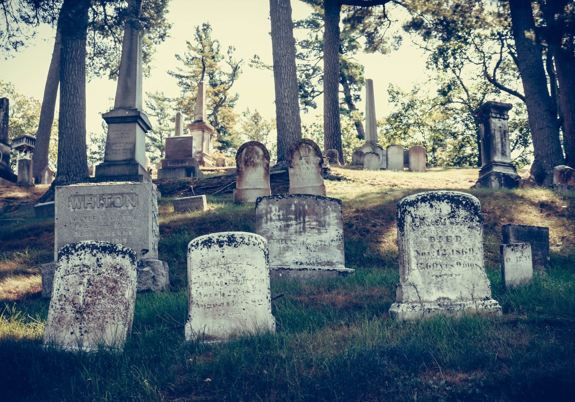 falling-further-MaOTKCIWhh0-unsplash