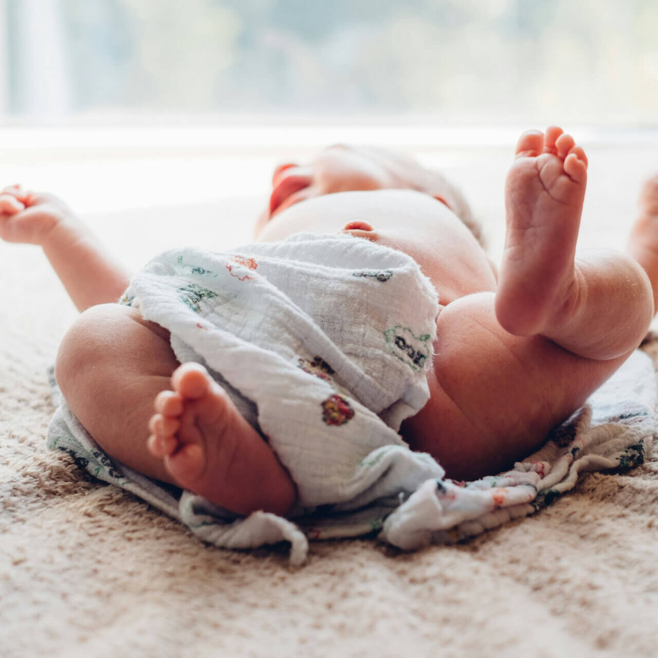 freestocks-Cznpqfajm68-unsplash