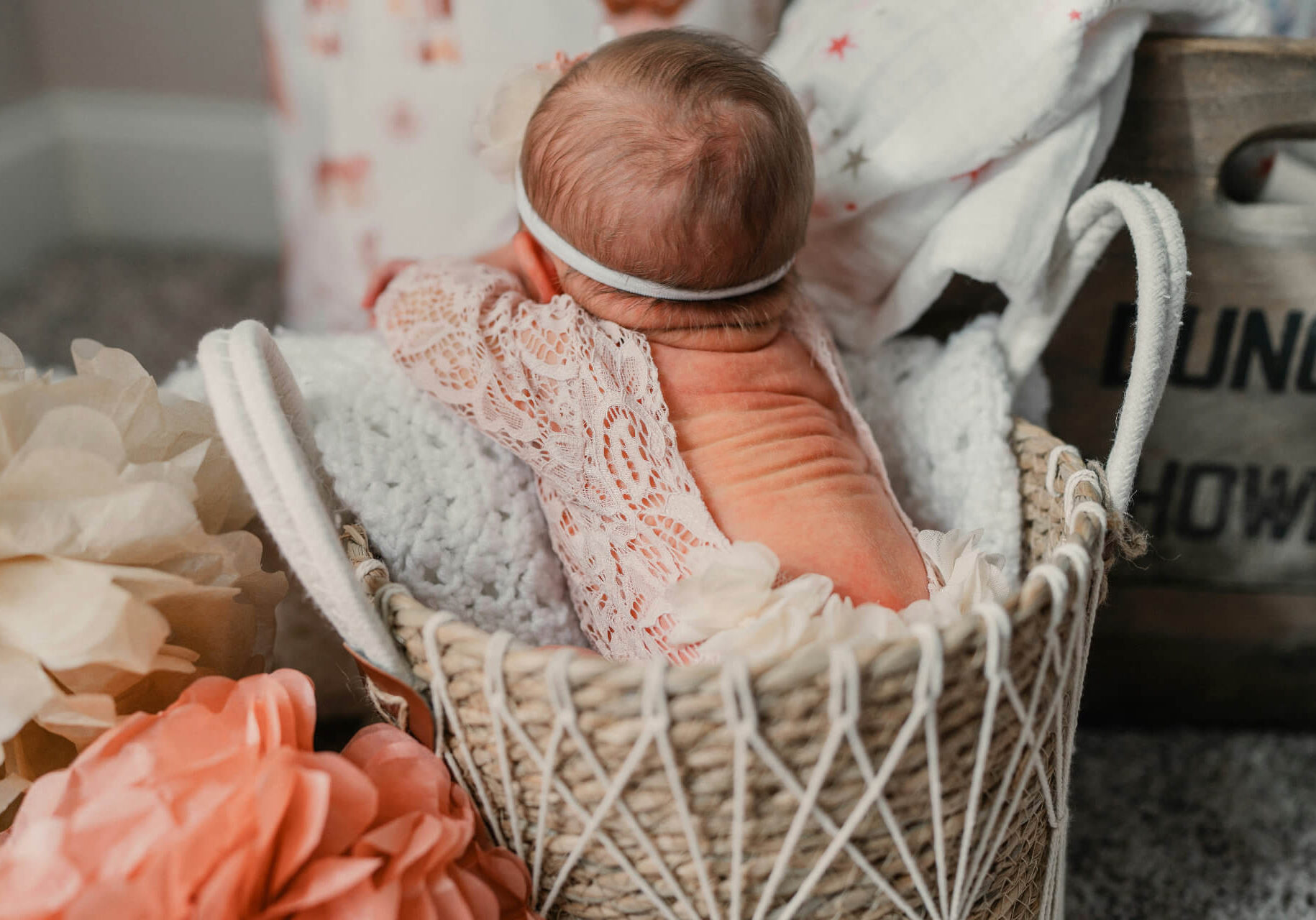 josh-duncan-4C8E8wj-ub8-unsplash