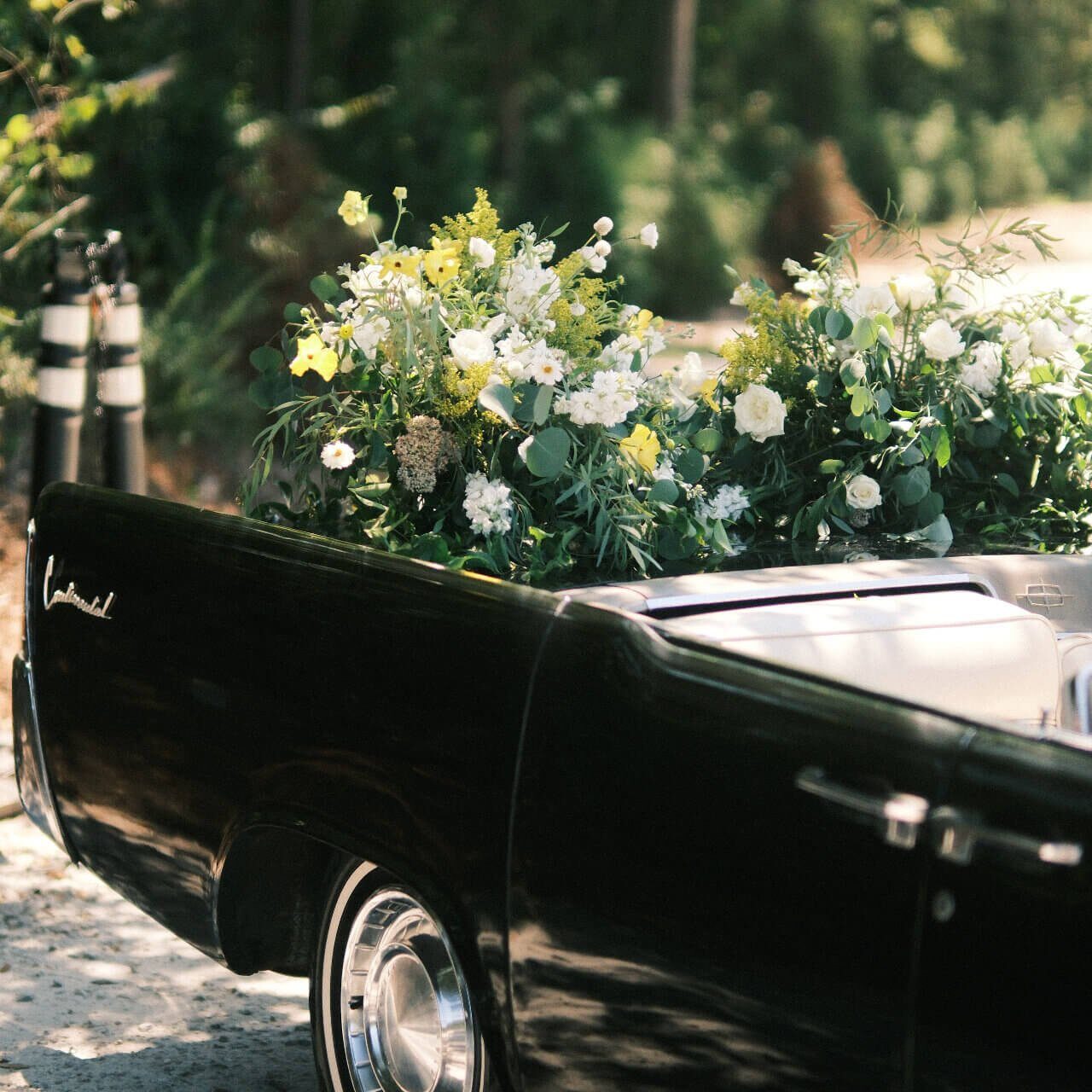 taylor-heery-VWUifssyUuM-unsplash